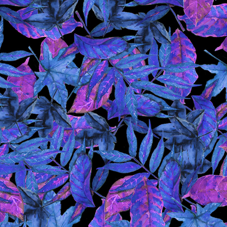 MINKY PRINTS             